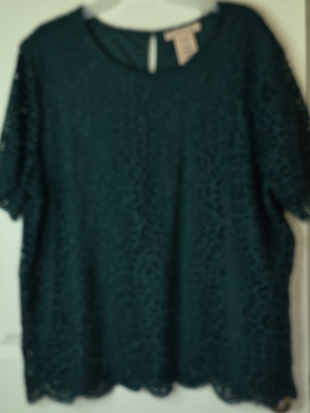 Philosophy Women's Deep Teal Lace Short Sleeve Top Size XXL